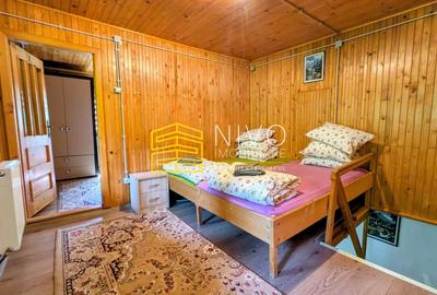 Cabană – Mureș – Sălard – Zona Pensiunea Denisa - 11