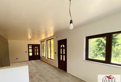 Casa de vanzare in Apuseni - Horea cu 16 000 mp teren - 5