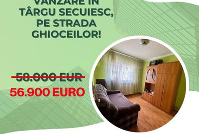Apartament cu 2 camere de vânzare în Târgu Secuiesc, pe strada Ghioceilor! - 1