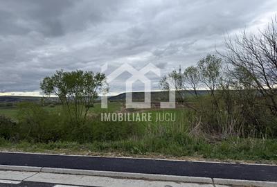 Teren Construcții intravilan de 1738 mp, în Jucu de Sus