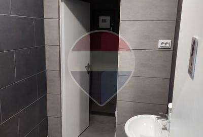 Hală industrială nouă flexibilă 420 mp Brănești Ilfov - 8