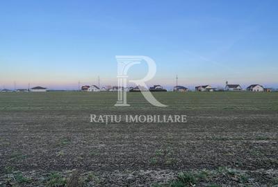 Teren Construcții intravilan de 500 mp, în Livada de Bihor