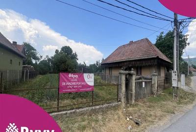 GRADINA BUNICII DE ODINIOARA,DE VANZARE -PAPAUTI,COVASNA. - 1