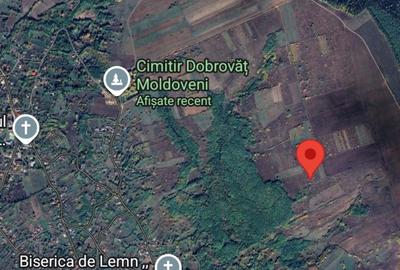 Teren 3600 mp extravilan Dobrovăț, Iași - 1.6 euro/mp, Negociabil, Priveliște Panoramică - 5