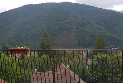 Pensiune functionala situata in Sinaia - 6