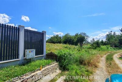 TEREN 7500 MP, PRETABIL DEZVOLTARE REZIDENTIALA - 5