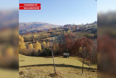 Teren de 10479 mp, în Călățele