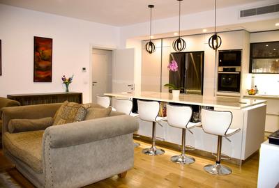 Apartament 3 camere cu 99 mp terase private | Barbu Delavrancea – Kiseleff - 1