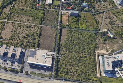 Vanzare teren 3300mp Baneasa Decathlon - 4