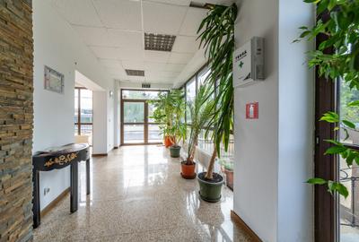 Clădire multifuncțională de închiriat, Mogoșoaia, Șos. București–Târgoviște - 35