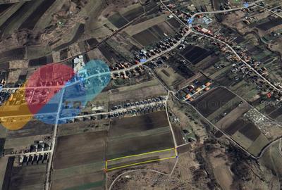 Teren Construcții extravilan de 4666 mp, în Corușu