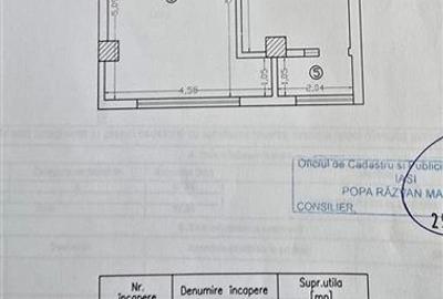 Apartament 2 camere, str. Pepinierii, Valea Adanca - 12