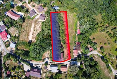 Teren 4.173 mp, front 60 m – Văliug, aproape de Lacul Gozna - 3