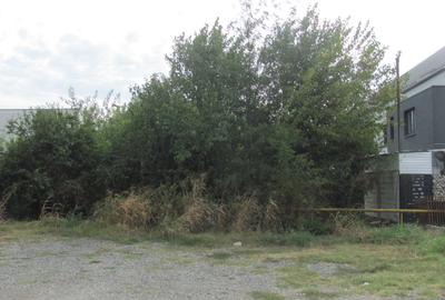 Prelungira Ghencea, Ghidiceni, Stradal - 3