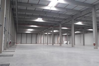 Depozit de inchiriat Timisoara - 3