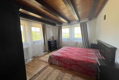 Casa cu teren 4.6 hectare la 17 km de Targu Mures - 9