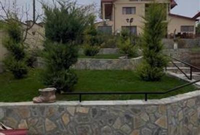 Vila superba Oancea DN teren1171mp - 7