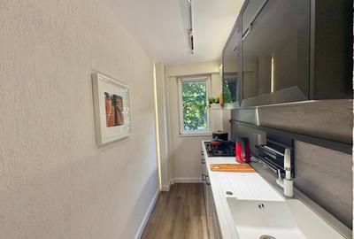 Victoriei, Veronica Micle - apartament 2 camere renovat de inchiriat. - 20