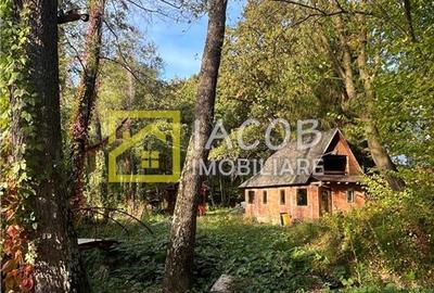 Casa cu teren, str. Slatinei, Luncani - Margineni - Bacau - 11