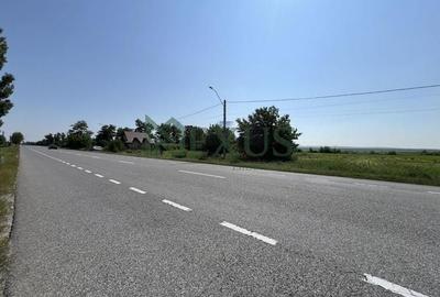 Teren de vânzare – 9.969 mp, Calea Romanului - 4