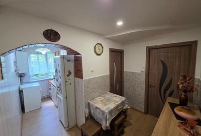 Apartament cu 2 camere Dambu Pietros - 17