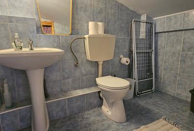Apartament 3 camere Floreasca Lake  tip penthouse- in vila - 15