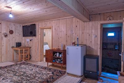 Cabană: afacere și vacanță în același loc | Camenca, Brusturoasa - 12