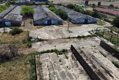Spațiu industrial -fermă Orțișoara - 18
