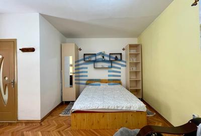 Garsoniera mobilata/utilată -pet friendly - centru istoric- studenti - 1