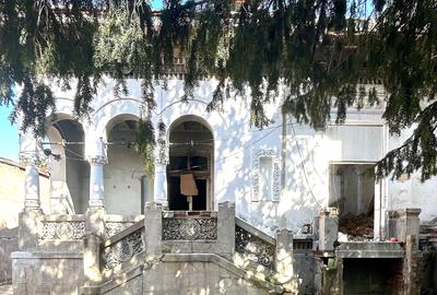 Parcul Cismigiu vila (de renovat), singur curte si  cu teren mare - 7