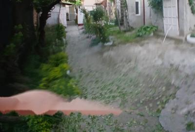 Casuta langa Bd Pache Protopopescu - 5