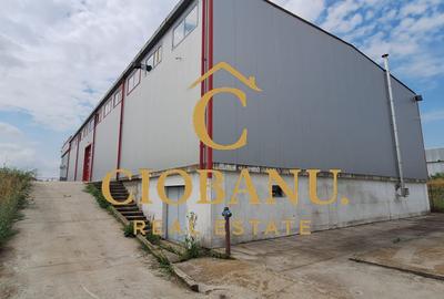Hală industrială de vânzare / închiriere – 1.120 mp | Pielesti - 11