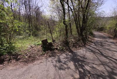 Teren foarte bine pozitionat in Brebu, Prahova - 7