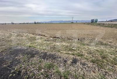Teren agricol intravilan de 32000 mp, în Simeria