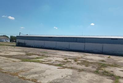 Spatiu industrial -  depozitare hale Baza Receptie Ghimpati Giurgiu - 13