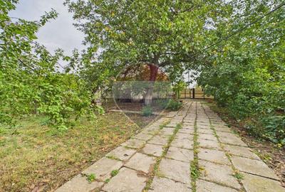 Chiajna | Casa 400 mp, teren 3.000 mp | Locuire, investitie, business - 23
