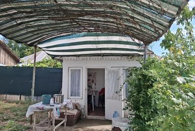 Casa Panciu, 870 mp teren curti constructii - 18