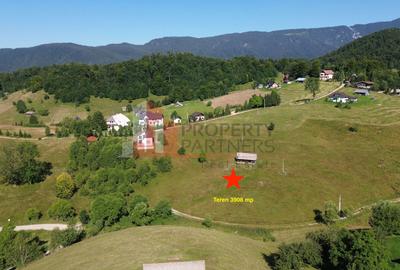 Teren intravilan 3.908 mp în Ciocanu – vedere panoramică spre Munții Bucegi - 2
