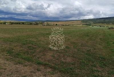 Teren Construcții intravilan de 5217 mp, în Livezile