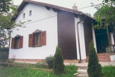 Vila romantica la Breaza - 2