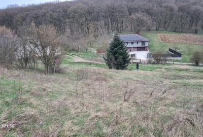 Teren Intravilan 1000 mp.utilităti langa teren,Targu Mures - 9