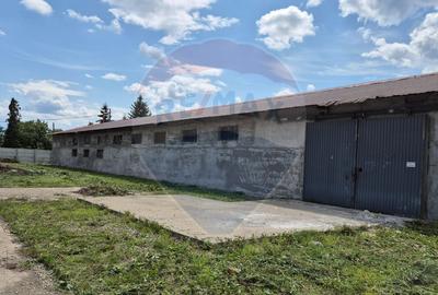 Spațiu industrial/hala de  vanzare - Piatra Neamt - 1