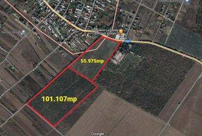 Teren 157.000mp Mogosesti | Giurgiu - 2