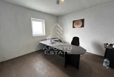 Service auto, de inchiriat, Cheveresul Mare, 20 km de Timisoara. - 5