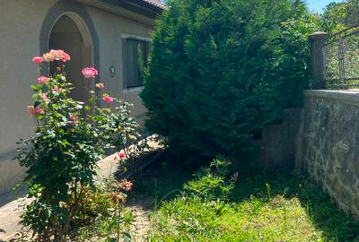 Casa  cu parau la limita proprietatii- zona submontana - 2