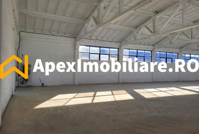 Hala Industriala Xenia – 1800 mp, Acces TIR, Parcare 50 Auto - 9