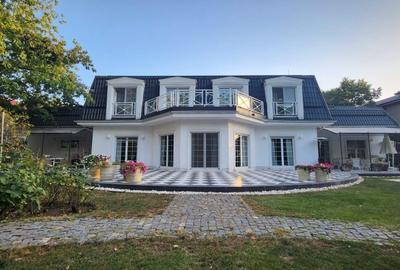 Vila individuala, teren 3000 mp, Iancu Nicolae - 29