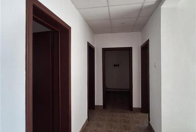 FABRICA DE ULEI AFACERE LA CHEIE DE VANZARE - 17