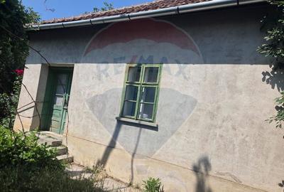 Casă cu gradina mare in Boiu - 6