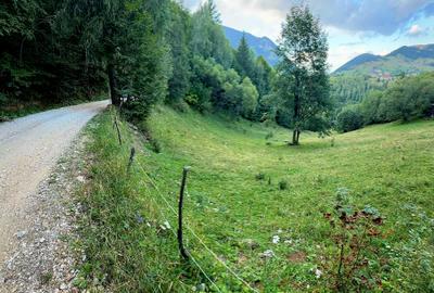 Teren extravilan 8635 mp, Pestera /Brasov - 4